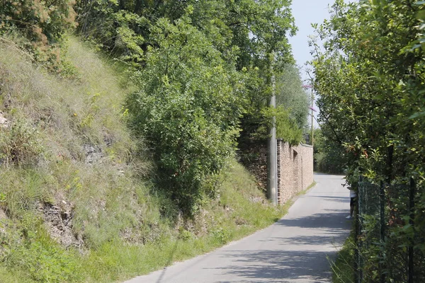 Paisaje Con Carretera Rural Norte Italia — Foto de Stock