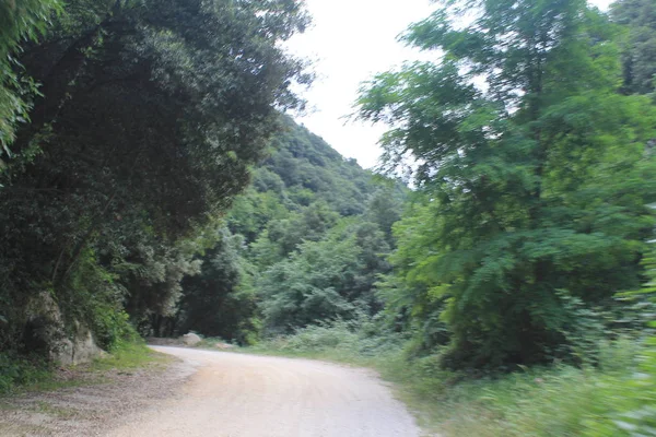 Paisaje Con Carretera Rural Norte Italia — Foto de Stock
