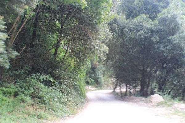 Landscape Rural Road North Italy — Stock Photo, Image