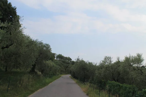 landscape with rural road in north Italy