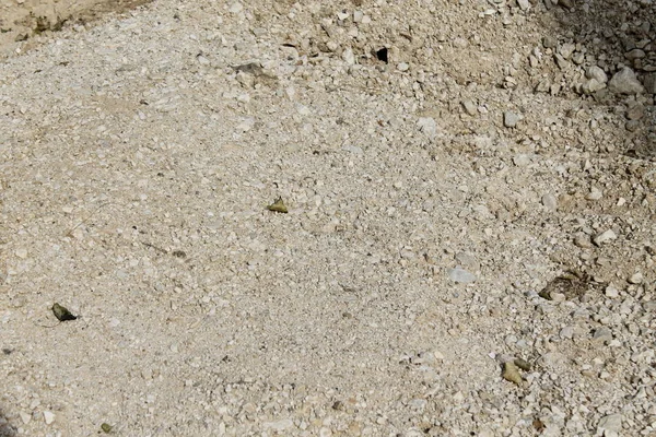 Textura Areia Com Pequenas Rochas Partículas Para Uma Textura Fundo — Fotografia de Stock