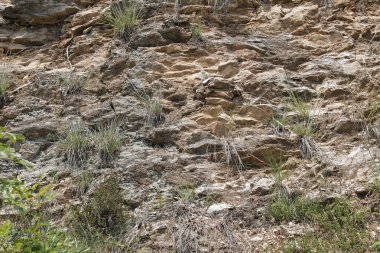 taş tuğla ile antik duvar