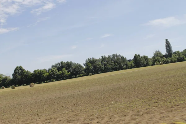 Краєвид Сільськогосподарських Полів Італії — стокове фото