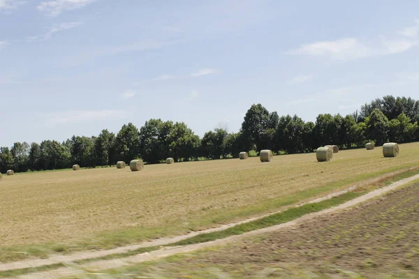 Paysage Avec Champs Agricoles Italie — Photo