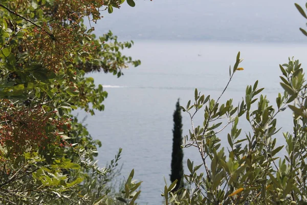 Pohled Jezero Garda Severní Itálii — Stock fotografie