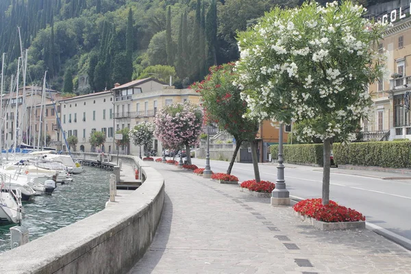 Promenadă Uimitoare Pavată Flori Mediteraneene Colorate Portul Uimitor Toscolano Maderno — Fotografie, imagine de stoc