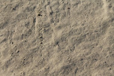 Sahil manzarasını kapat.