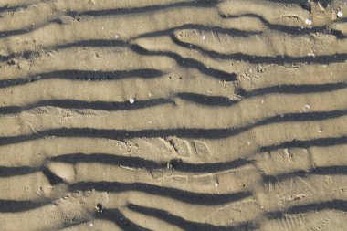 Sahil manzarasını kapat.