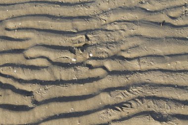 Sahil manzarasını kapat.