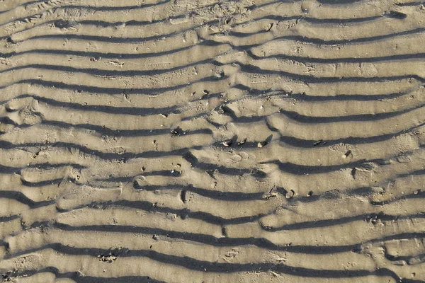 Vue Rapprochée Plage Sable Fond — Photo