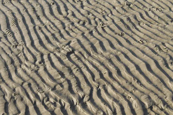 Вид Пляж Фоне Песка — стоковое фото