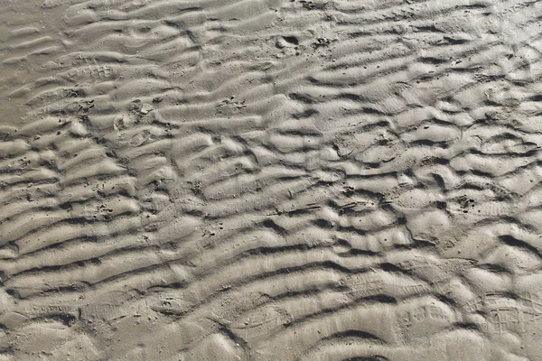 Vue Rapprochée Plage Sable Fond — Photo