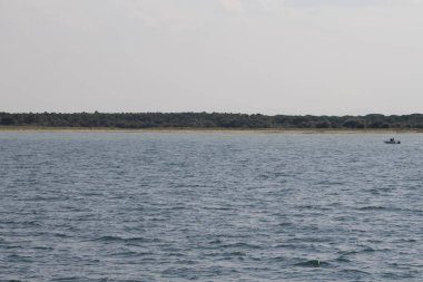 Italya 'da Ravenna 'da Adriyatik Denizi 'nde ağaçlar ile kumlu plaj