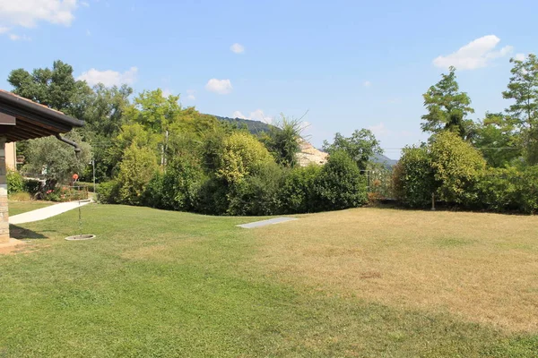 Calm Beautiful Lawn Mature Trees Mid Summer — Stock Photo, Image