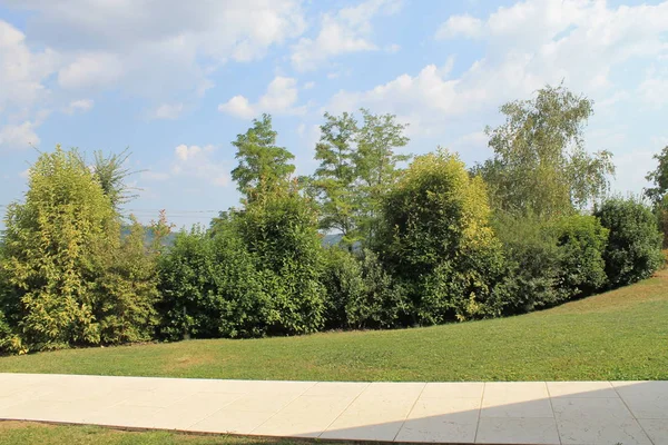 Ruhiger Schöner Rasen Mit Altem Baumbestand Hochsommer — Stockfoto