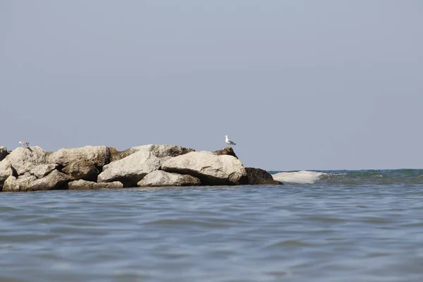 Пейзаж Неба Адриатического Моря Италии — стоковое фото