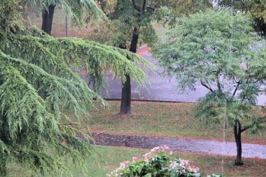 yağmurlu bir günde park ile doğal sahne