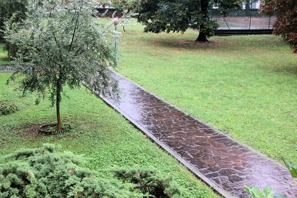 Escena Natural Con Parque Día Lluvioso — Foto de Stock