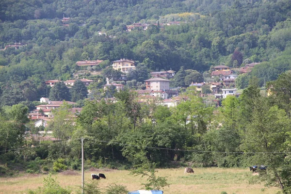 Vue Sur Petite Ville Botticino Dans Nord Italie — Photo