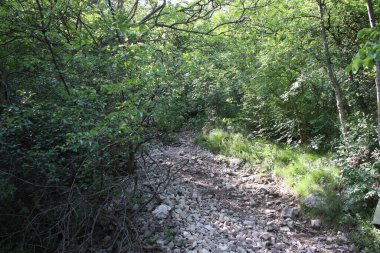 Dağların arasında yürüyüş yolu. Dağ yolu gezintisi.