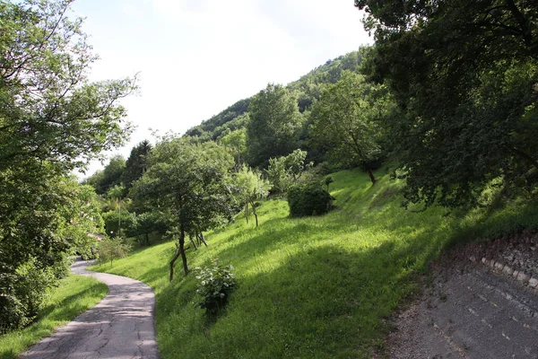 Wanderweg Durch Die Berge Trekkingpfad — Stockfoto