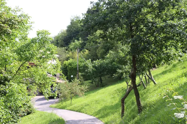 Szlak Turystyczny Przez Góry Szlak Górski Trekking — Zdjęcie stockowe