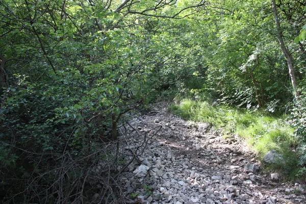 Dağların Arasında Yürüyüş Yolu Dağ Yolu Gezintisi — Stok fotoğraf