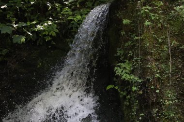 İtalya 'nın kuzeyindeki Trentino' da şelaleler