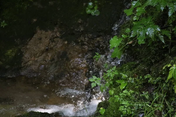 Водоспади Трентіно Півночі Італії — стокове фото