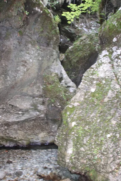 Естественный Вид Подземными Реками Между Скалами — стоковое фото