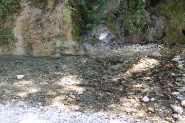 Ormandaki gür çalılıkların arasında güzel dağ dereleri çağlayan manzara manzarası. Küçük nehri olan Idyllic yeşil manzarası 