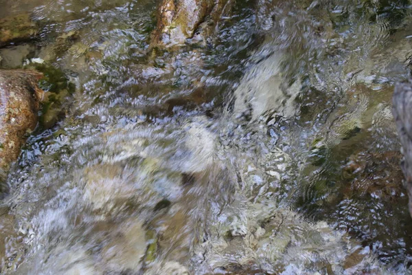 Naturlandskap Med Vackra Kaskader Fjällbäck Bland Frodiga Snår Skogen Idylliskt — Stockfoto