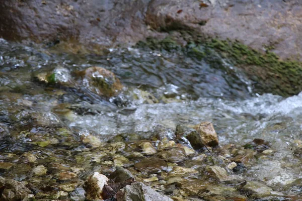 Naturlandskap Med Vackra Kaskader Fjällbäck Bland Frodiga Snår Skogen Idylliskt — Stockfoto