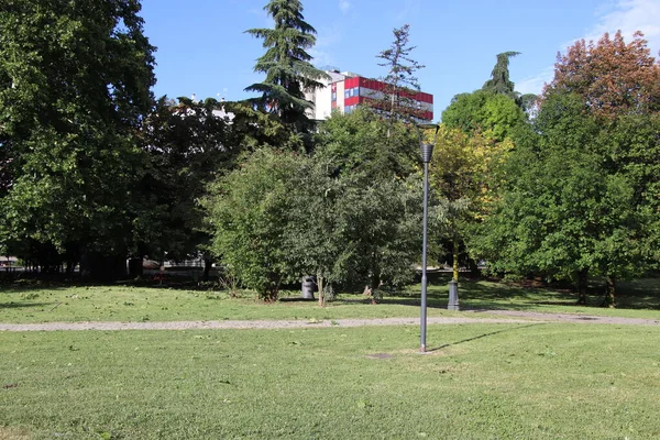 Paisaje Verano Colorido Parque Ciudad Verano Con Árboles Veraneo Verde — Foto de Stock