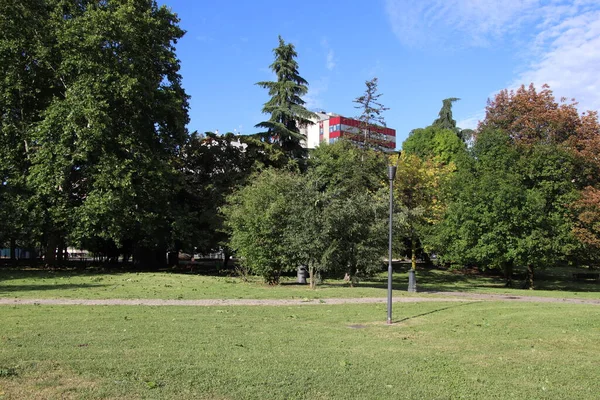 Paysage Estival Parc Urbain Estival Coloré Avec Des Arbres Feuilles — Photo