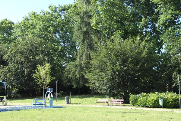 Sommerlandschaft Farbenfroher Sommerstadtpark Mit Sommergrünen Sommerbäumen Bei Sonnigem Wetter Sommer — Stockfoto