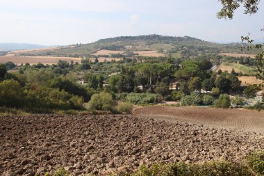 Tuscany, İtalya 'da ekili arazisi olan kırsal alan