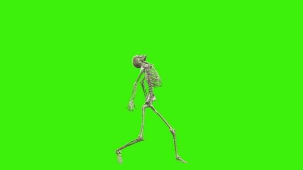 Bone Thriller Dance Green Screen — Stock Video