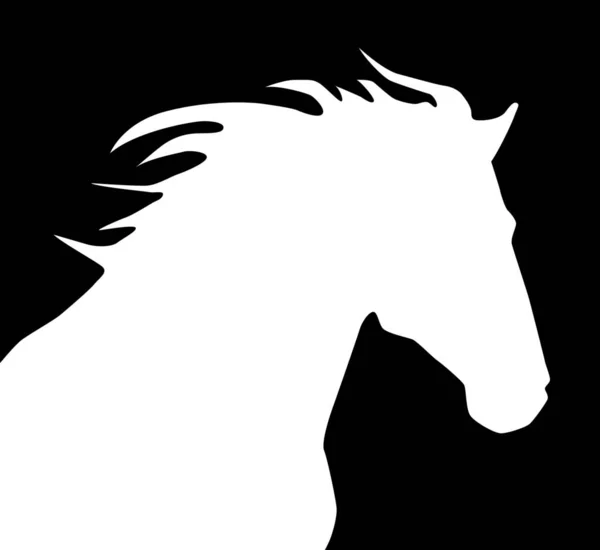 Horselogo — Stok fotoğraf