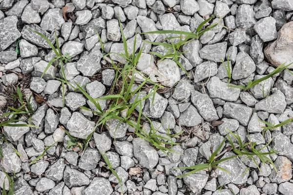 Piedras sobre hierba —  Fotos de Stock