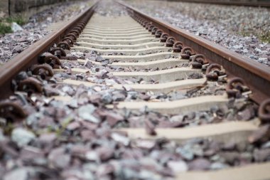 Pas demiryolu rayları doku