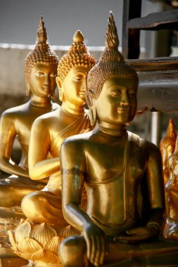 güzel altın buddha