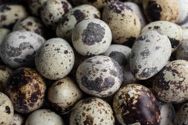 Bıldırcın yumurtaları.  