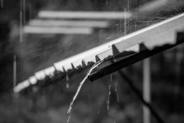 Black and white Rain on the roof — Stock Photo, Image
