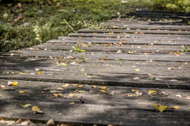 Eski ahşap bir köprü üzerinde yaprakları