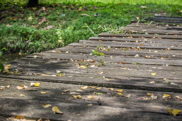 Leaves on an old wooden bridge — Stock Photo, Image