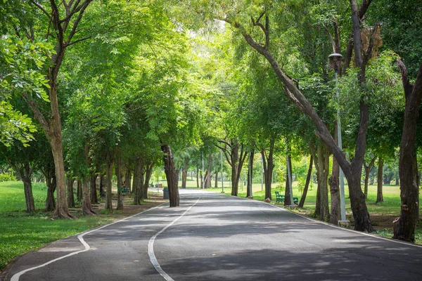 公園内の道路は — ストック写真