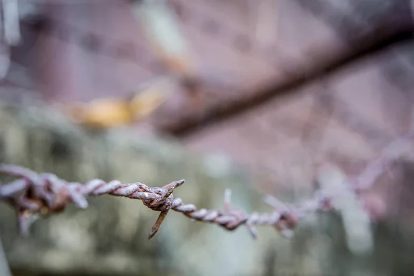 生锈的带刺铁丝网 — 图库照片