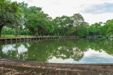 bataklık ve su kenarı 