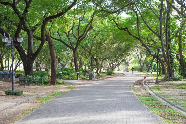 Road in the beautiful park — Stock Photo, Image